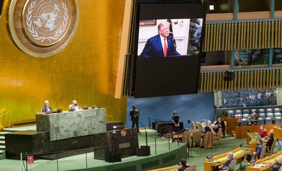 75ª sessão da Assembleia Geral das Nações Unidas ONU News